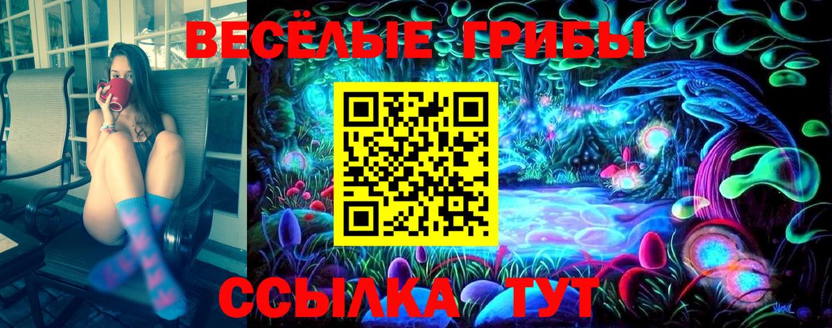 Гурьевск  Псилоцибиновые грибы Psilocybe  Вход с VPN 